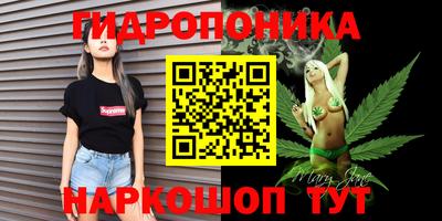 МДПВ Волжск