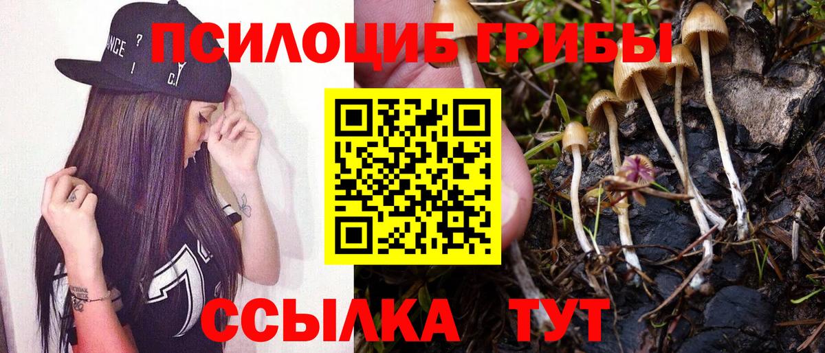 наркотики  Вход с VPN  Чита  Галлюциногенные грибы Psilocybine cubensis  Псилоцибиновые грибы MAGIC MUSHROOMS 